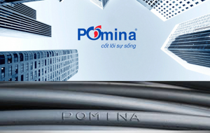 Sắt thép xây dựng Pomina